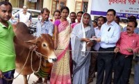 প্রধানমন্ত্রীকে এসএমএস করে কোরবানির গরু পেল হিজড়া সম্প্রদায়